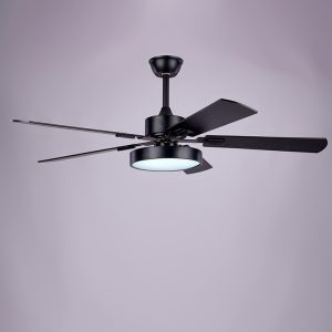 sqm co ltd ceiling fan light